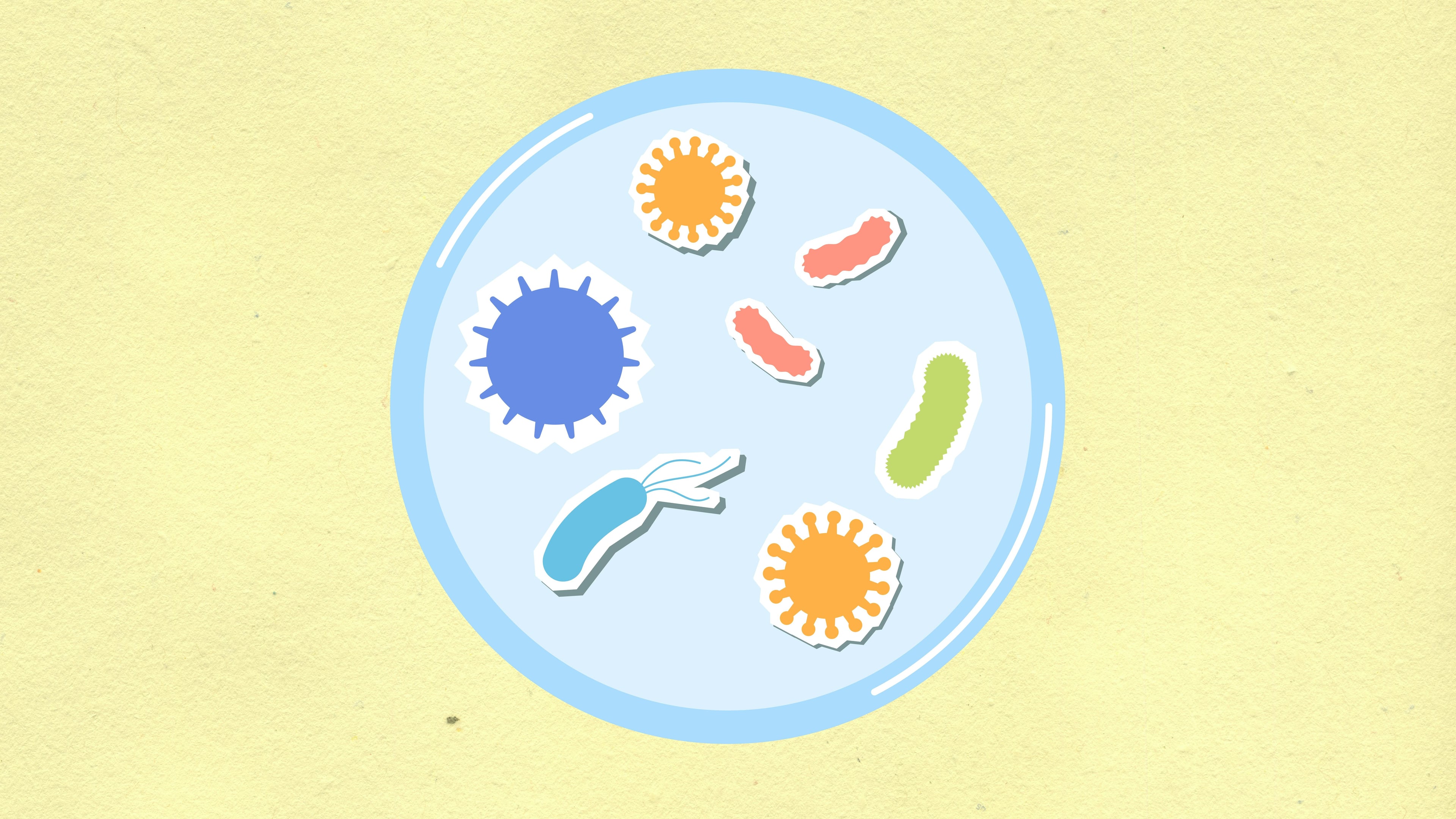 Illustrated microbes in a petri dish